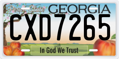 GA license plate CXD7265