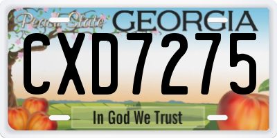 GA license plate CXD7275