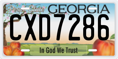 GA license plate CXD7286