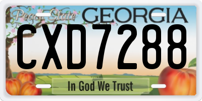 GA license plate CXD7288