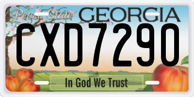 GA license plate CXD7290