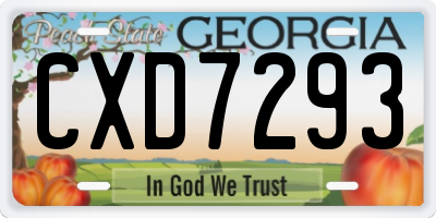 GA license plate CXD7293