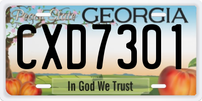 GA license plate CXD7301