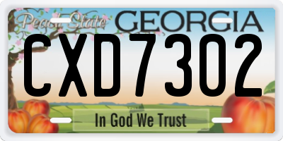 GA license plate CXD7302