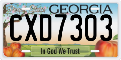 GA license plate CXD7303