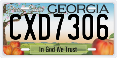 GA license plate CXD7306