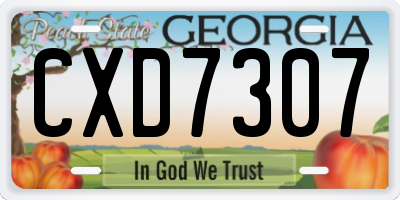 GA license plate CXD7307