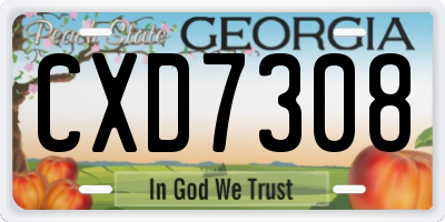 GA license plate CXD7308