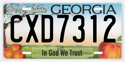 GA license plate CXD7312
