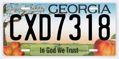 GA license plate CXD7318