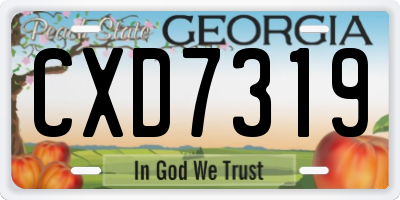 GA license plate CXD7319