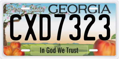 GA license plate CXD7323