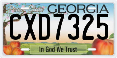GA license plate CXD7325
