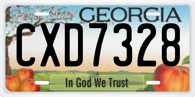 GA license plate CXD7328
