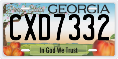 GA license plate CXD7332