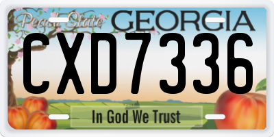GA license plate CXD7336