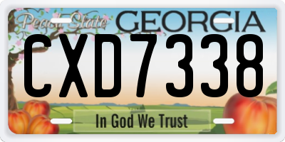 GA license plate CXD7338