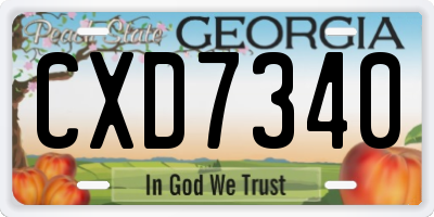 GA license plate CXD7340