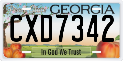 GA license plate CXD7342