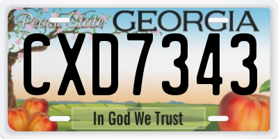 GA license plate CXD7343