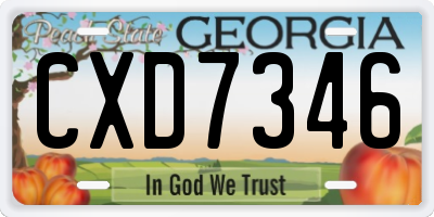 GA license plate CXD7346