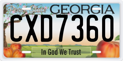 GA license plate CXD7360