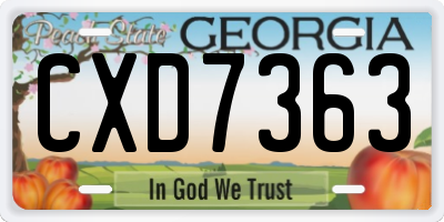 GA license plate CXD7363