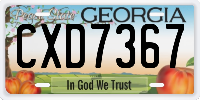 GA license plate CXD7367