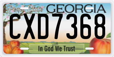 GA license plate CXD7368