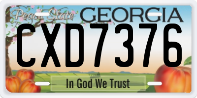 GA license plate CXD7376