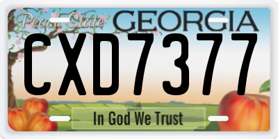 GA license plate CXD7377