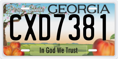 GA license plate CXD7381