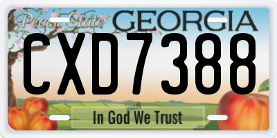 GA license plate CXD7388