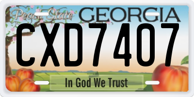 GA license plate CXD7407