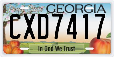 GA license plate CXD7417