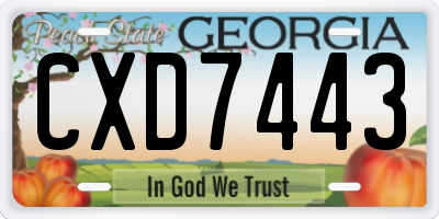 GA license plate CXD7443