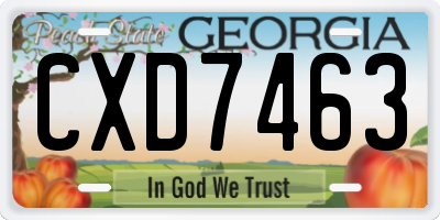 GA license plate CXD7463