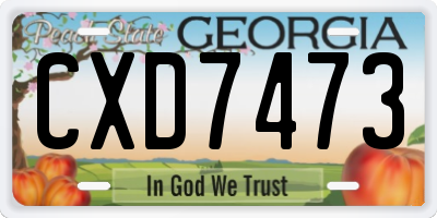 GA license plate CXD7473