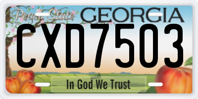 GA license plate CXD7503