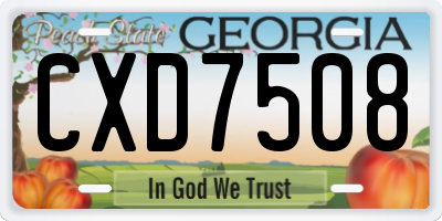 GA license plate CXD7508