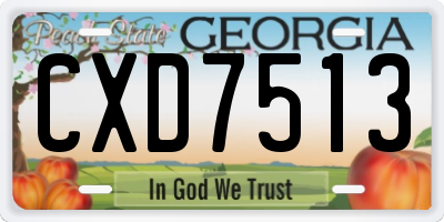 GA license plate CXD7513