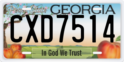 GA license plate CXD7514