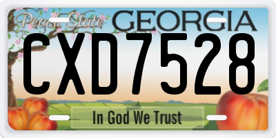 GA license plate CXD7528