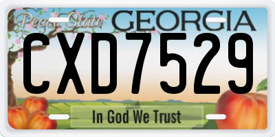GA license plate CXD7529