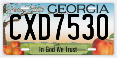 GA license plate CXD7530
