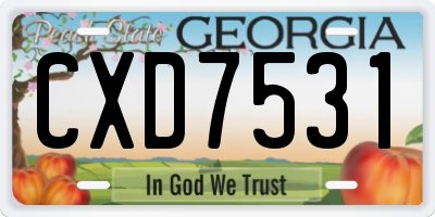 GA license plate CXD7531