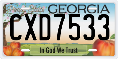 GA license plate CXD7533