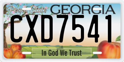 GA license plate CXD7541