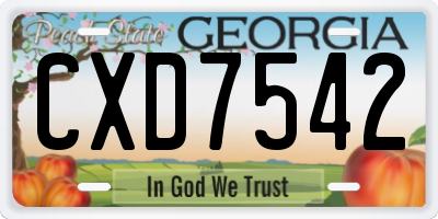 GA license plate CXD7542
