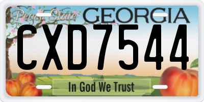 GA license plate CXD7544